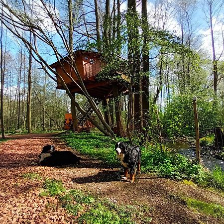 Bohutín Treehouse V Brdechヴィラ エクステリア 写真