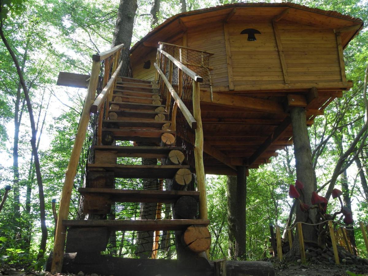 Bohutín Treehouse V Brdechヴィラ エクステリア 写真
